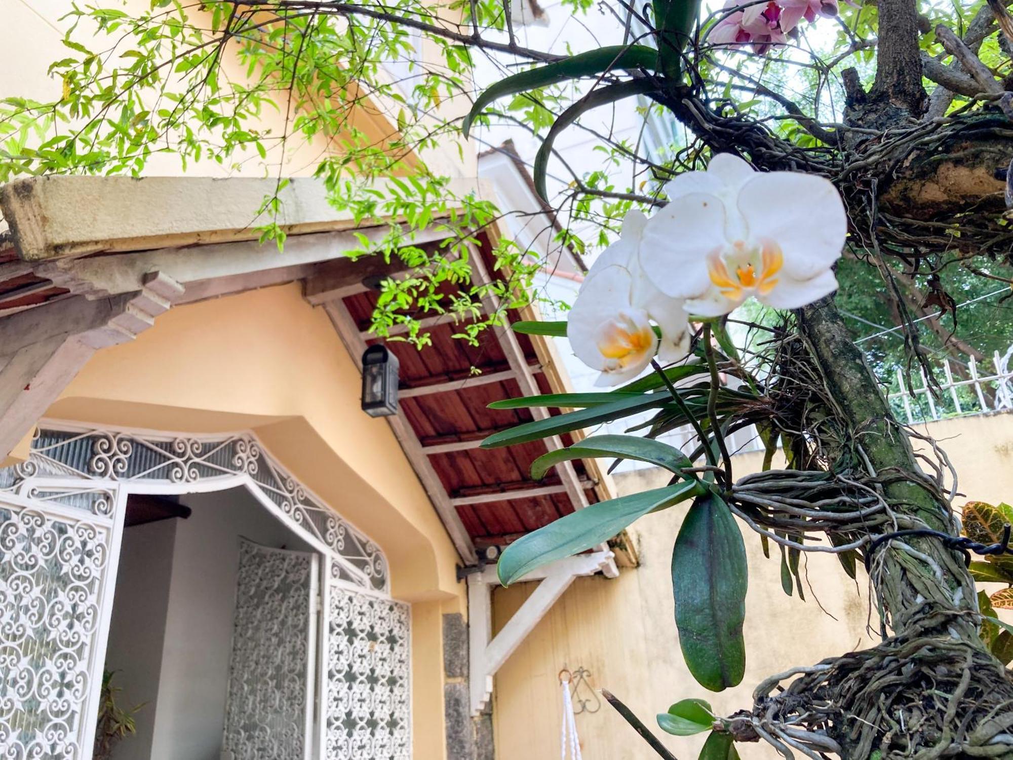 Hostal Chez Zany Boutique - Copacabana *